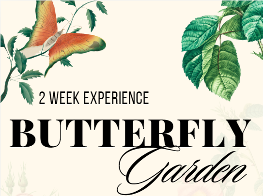 Booking Request - Butterfly Garden 2 week experience incursion