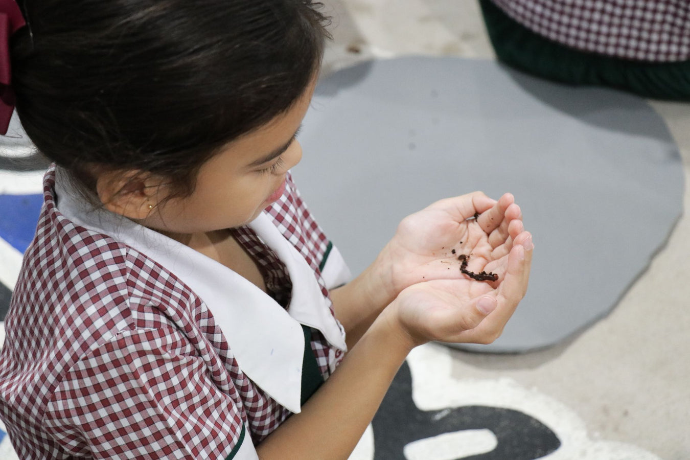 best incursions for schools