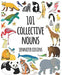 101 Collective Nouns Hardcover Book - Teach Fun Oz Resources