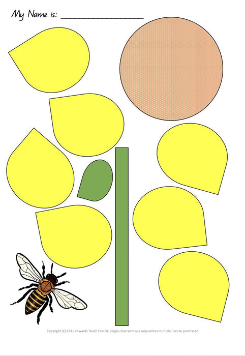 BEES UNIT Bee Life Cycle Invertebrates Vertebrates Living Science Year 1 2 3 4 - Teach Fun Oz Resources