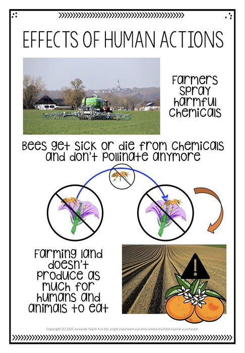 BEES UNIT Bee Life Cycle Invertebrates Vertebrates Living Science Year 1 2 3 4 - Teach Fun Oz Resources