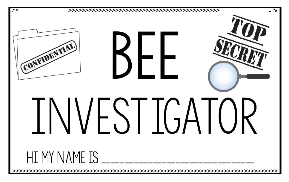 BEES UNIT Bee Life Cycle Invertebrates Vertebrates Living Science Year 1 2 3 4 - Teach Fun Oz Resources