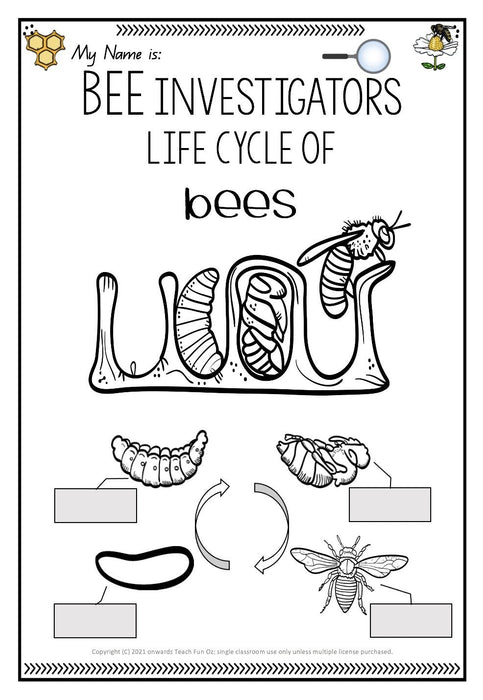 BEES UNIT Bee Life Cycle Invertebrates Vertebrates Living Science Year 1 2 3 4 - Teach Fun Oz Resources