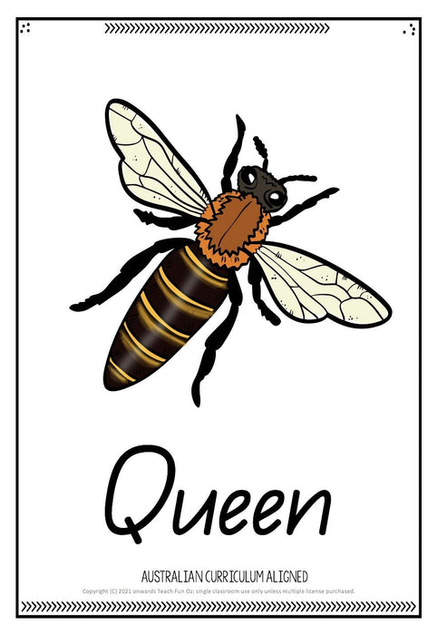BEES UNIT Bee Life Cycle Invertebrates Vertebrates Living Science Year 1 2 3 4 - Teach Fun Oz Resources