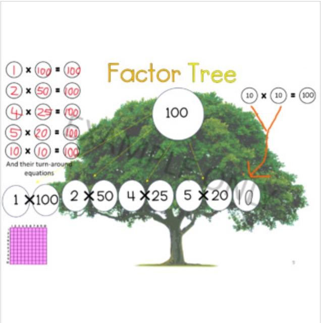 FACTOR TREES Multiplication Number Facts Activities Printables Powerpoint Maths - Teach Fun Oz Resources