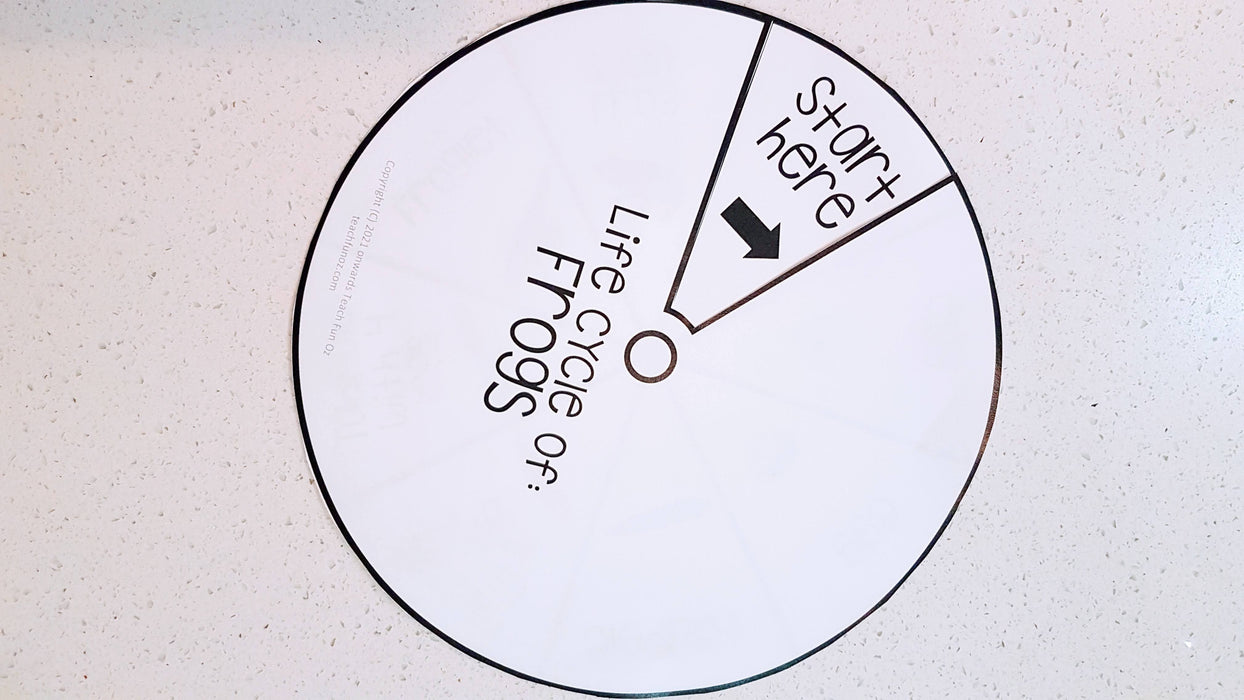 Frog Life Cycle Spinner Flash Cards Charts Science Prep Year 1 2 3 4 - Teach Fun Oz Resources