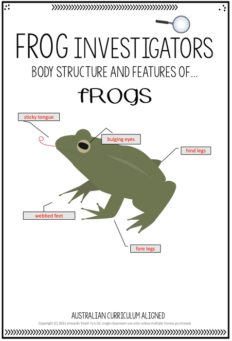 FROG UNIT Frog Life Cycle Invertebrates Vertebrates Living Science Year 1 2 3 4 - Teach Fun Oz Resources