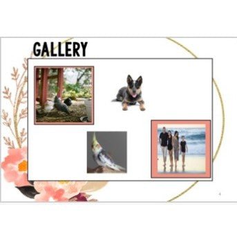 Meet the Teacher Template Editable Slideshow | ADELE FLORAL - Teach Fun Oz Resources
