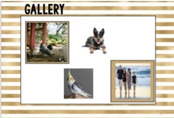 Meet the Teacher Template Editable Slideshow | Open House | GOLD STRIPES - Teach Fun Oz Resources