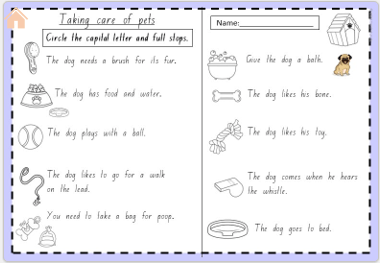 Relief Teacher Ultimate Dashboard - Editable Daily Slides Lesson Ideas and Timers for Primary or Elementary Supply - Teach Fun Oz Resources