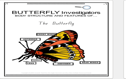 Relief Teacher Ultimate Dashboard - Editable Daily Slides Lesson Ideas and Timers for Primary or Elementary Supply - Teach Fun Oz Resources