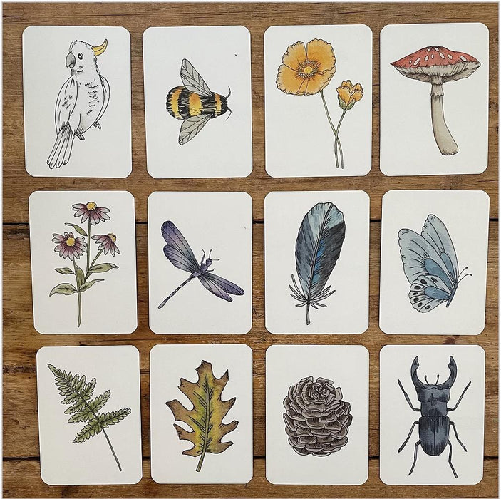 Wild Memory Card Game - Teach Fun Oz Resources