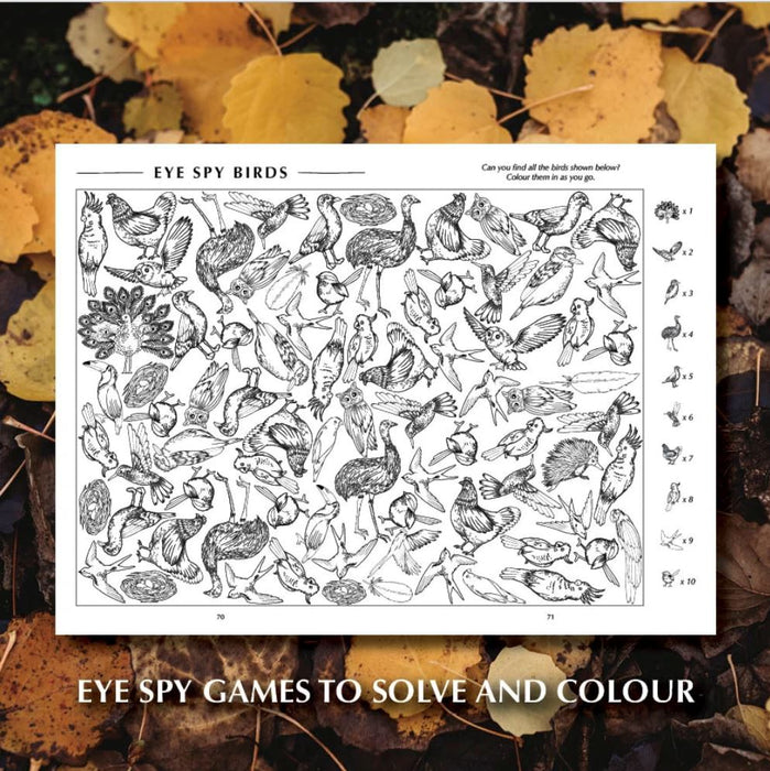 Your Wild Activity Book for Kids - Teach Fun Oz Resources