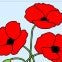 15 Anzac Day Story Books for Kids - Teach Fun Oz Resources