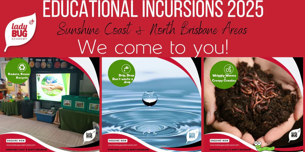 What ages are incursions suitable for? — Teach Fun Oz