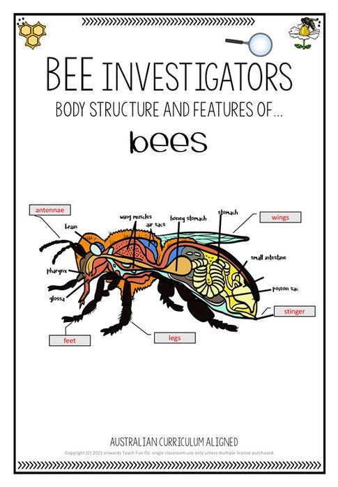 Booking Request - Buzzy Bees Incursion