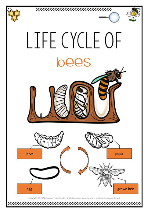 Booking Request - Buzzy Bees Incursion