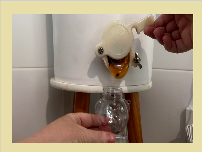 DIY Incursion Digital Pack - Buzzy Bees Incursion