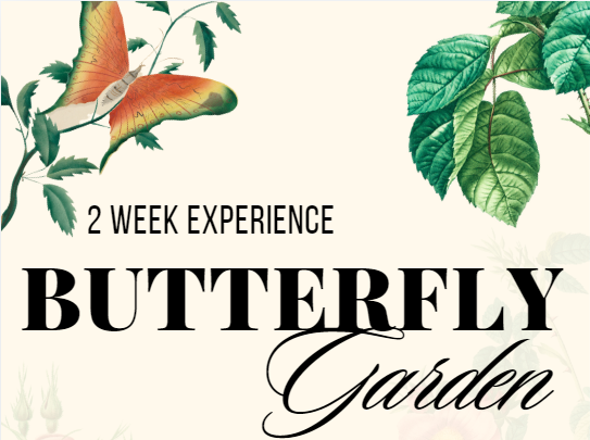 January 2025 Booking Request - Butterfly Garden 2 week experience incursion