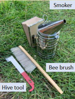 Booking Request - Buzzy Bees Incursion