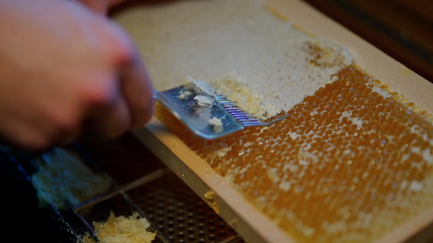 Booking Request - Buzzy Bees Incursion