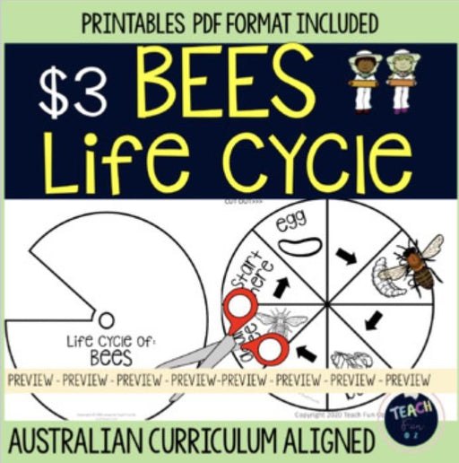 Bee Life Cycle Bees Spinner Flash Cards Charts Science Prep Year 1 2 3 4 - Teach Fun Oz Resources