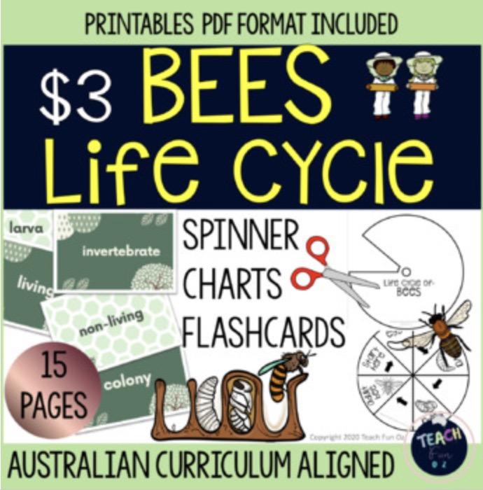 Bee Life Cycle Bees Spinner Flash Cards Charts Science Prep Year 1 2 3 4 - Teach Fun Oz Resources