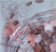 Bio Dough Natural Wax Sprinkles Add Ins - Sweet Tooth Desserts Mix 240 mL tub - Teach Fun Oz Resources