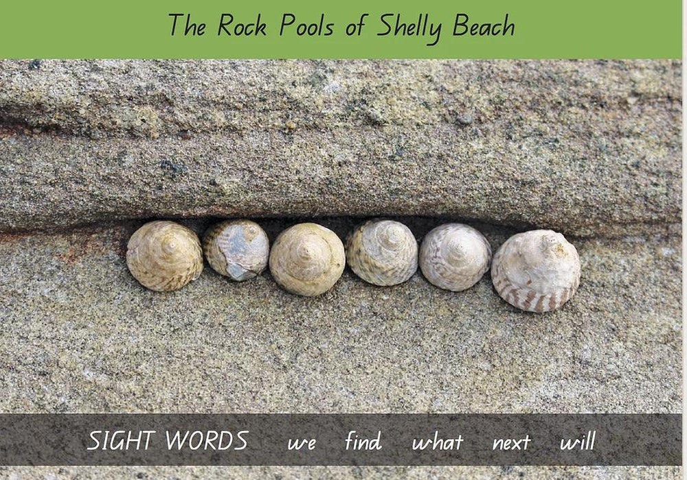 Early Reader Book - The Rockpools of Shelly Beach - Level 3 Series 1 Sight Words - Teach Fun Oz Resources