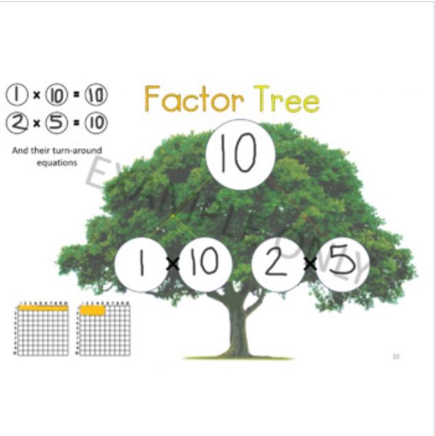 FACTOR TREES Multiplication Number Facts Activities Printables Powerpoint Maths - Teach Fun Oz Resources