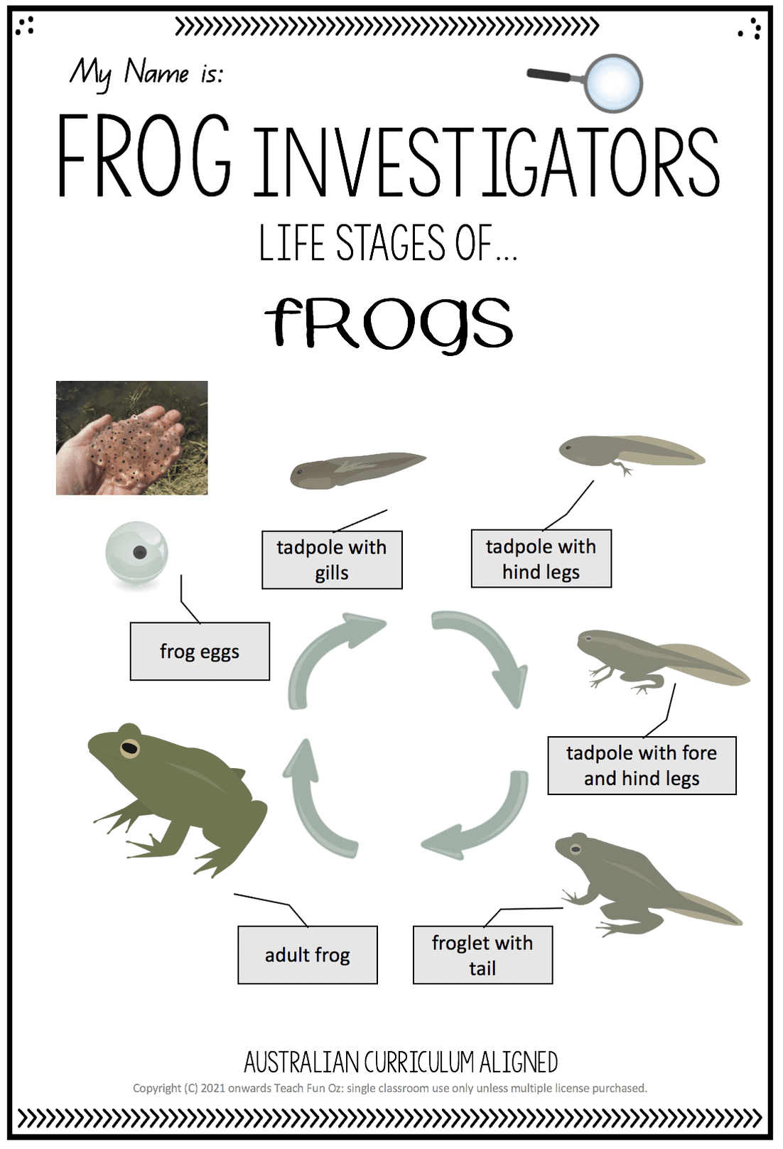 FROG UNIT Frog Life Cycle Invertebrates Vertebrates Living Science Yea ...
