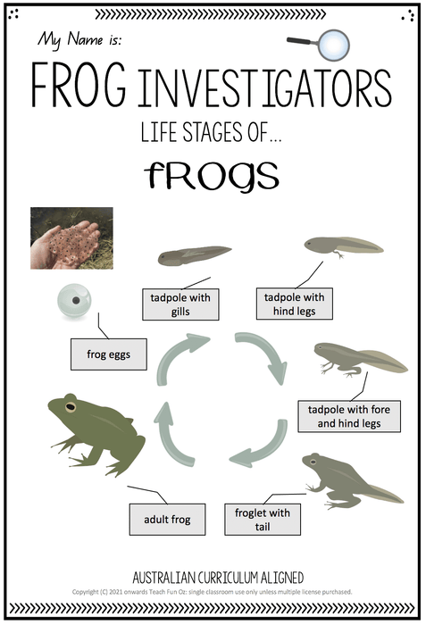 FROG UNIT Frog Life Cycle Invertebrates Vertebrates Living Science Year 1 2 3 4 - Teach Fun Oz Resources